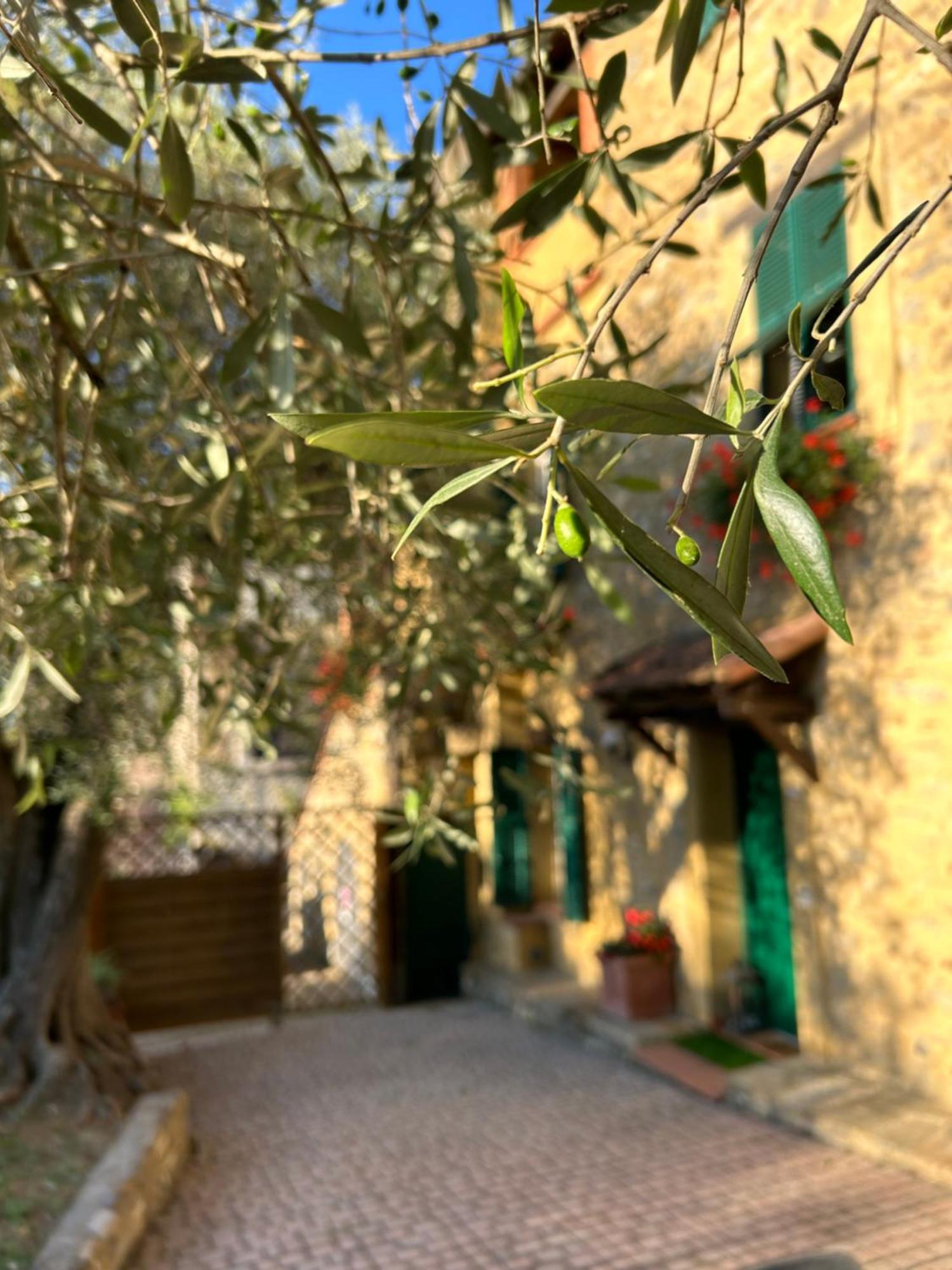 Casa Margot Daire Garlenda Dış mekan fotoğraf